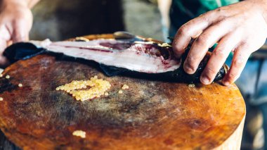 Mersin balığı deneyimli şefin elinde. Sashimi ve suşi için mersin balığı filetosu dilimlemek için bıçak kullanıyor. Bir şef kesme tahtasındaki bıçakla mersin balığı filetosu kesiyor..