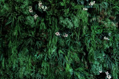 Herb wall, plant wall, natural green wallpaper and background. nature wall. Nature background of green forest