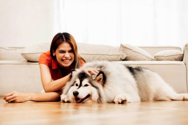 Evde, Livingroom 'da köpekle oynayan bir kadın. İnsanlar evde mutlu bir şekilde sarılıyor ya da evcil köpeği oynuyorlar. Sevimli hayvan