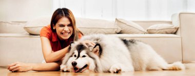 Evde, Livingroom 'da köpekle oynayan bir kadın. İnsanlar evde mutlu bir şekilde sarılıyor ya da evcil köpeği oynuyorlar. Sevimli hayvan