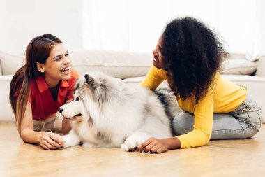 Evde, Livingroom 'da köpekle oynayan bir kadın. İnsanlar evde mutlu bir şekilde sarılıyor ya da evcil köpeği oynuyorlar. Sevimli hayvan