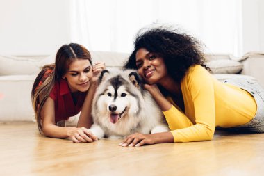 Evde, Livingroom 'da köpekle oynayan bir kadın. İnsanlar evde mutlu bir şekilde sarılıyor ya da evcil köpeği oynuyorlar. Sevimli hayvan