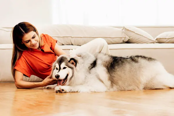 woman playing with  dog in Livingroom at home. People hugs or Playing pet dog with happy and smiling at home. Lovely pet