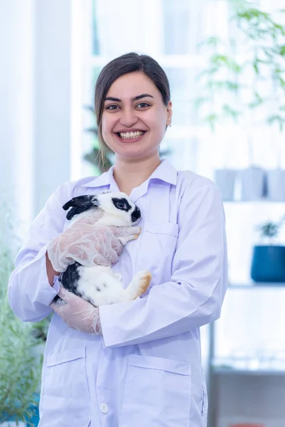 Scientist or pharmacist holding cute fluffy Bunny in laboratory. Friendship with Easter Bunny.