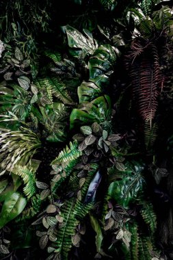 Herb wall, plant wall, natural green wallpaper and background. nature wall. Nature background of green forest