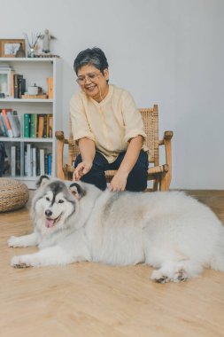 Evde Livingroom 'da kıdemli Asyalı yaşlı kadın köpekle oynuyor. İnsanlar evde mutlu bir şekilde sarılıyor ya da evcil köpeği oynuyorlar. Sevimli hayvan