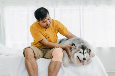 Evde, Livingroom 'da köpekli bir adam var. Evcil hayvan evde yaşarken bir ilham kaynağı oluyor. Sevimli hayvan. Köpek ve adam sahibi.