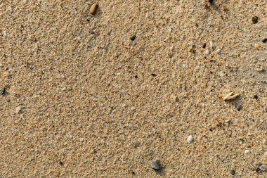 Kum dokusu. Arka plan için kumsal. Üst Manzara. Doğal kum taşı dokusu. Sahildeki kum arka planda.