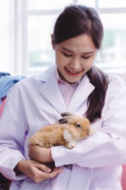 Bilim adamı ya da eczacı laboratuarda sevimli pofuduk tavşanı tutuyor. Paskalya Tavşanı ile arkadaşlık.