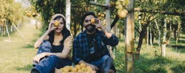 Portakal bahçesinde çalışan çiftçi. Bahçıvan portakal tarlası bahçesinde bir portakalla bir makas topluyor. Çiftçi portakal bahçesindeki organik portakal meyvelerinin kalitesini araştırıyor ve inceliyor.