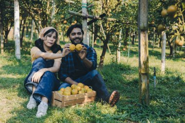 Portakal bahçesinde çalışan çiftçi. Bahçıvan portakal tarlası bahçesinde bir portakalla bir makas topluyor. Çiftçi portakal bahçesindeki organik portakal meyvelerinin kalitesini araştırıyor ve inceliyor.