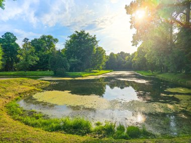 Parkta golf sopası olan golf sahası.