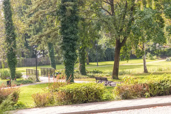 Naleczow Sanatoryumu 'ndaki Spa Parkı, Naleczow, Polonya, Avrupa