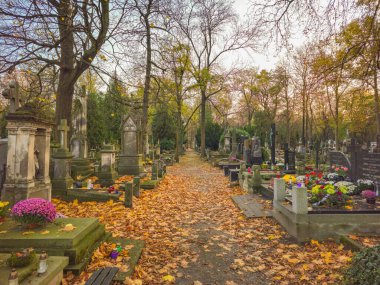 Sonbaharda eski taş mezarlığı.