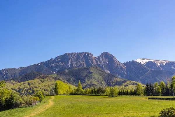 stock image View of the Tatra Mountains and the Giewont peak. Green meadow, the road leads to the side of the mountains. There are trees beside the road. Summer in the Tatra Mountains