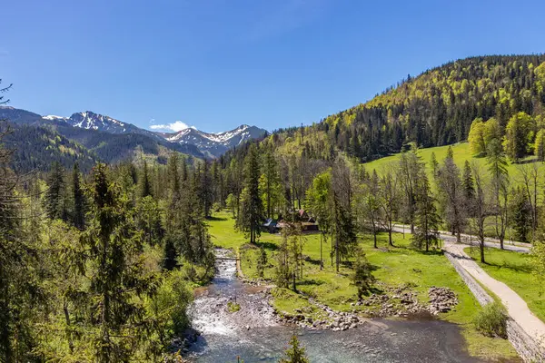 Yaz aylarında Tatra Dağlarının manzarası, Zakopane, Polonya