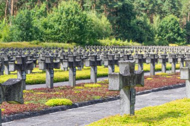 Palmiry, Polonya - Kampinos Ulusal Parkı 'nın ortasındaki Mezarlıkta çapraz mezar taşları