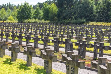 Palmiry, Polonya - Kampinos Ulusal Parkı 'nın ortasındaki Mezarlıkta çapraz mezar taşları