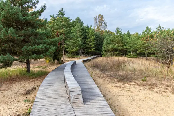 Stock image path in the woods