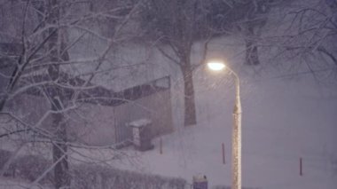 Winter season. A glowing street lamp. Snow falls along with the blowing wind. The trees are swaying. The view from above.
