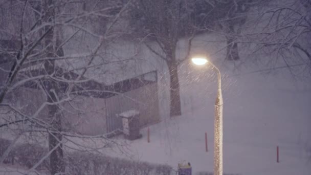 Winter Season Glowing Street Lamp Snow Falls Blowing Wind Trees — Vídeo de Stock