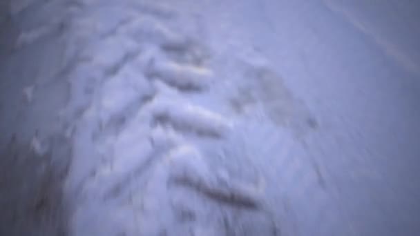新雪の上にはトラクターのタイヤ跡がはっきりと見えます 中央ヨーロッパと東ヨーロッパの雪と霜の時間 カメラは線路をたどります — ストック動画