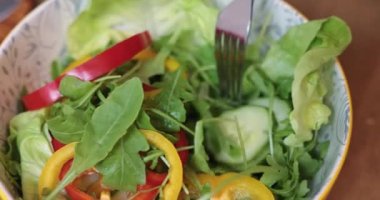 A set of lettuces with peppers, arugula, and lettuce in a deep bowl with a pattern. A fuzzy fork in the background inserted into a bowl of green salad with sliced peppers. Spring breakfast with