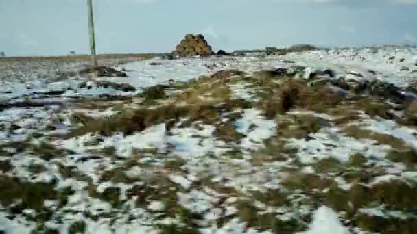 Ένας Αγρότης Στο Χωράφι Άφησε Αχυρένιες Μπάλες Στοιβαγμένες Ψηλά Θέα — Αρχείο Βίντεο