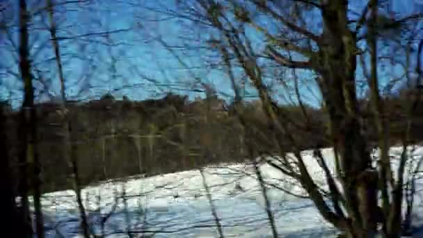 Jak Budete Cestovat Autem Můžete Vidět Měnící Krajinu Oknem Zimní — Stock video