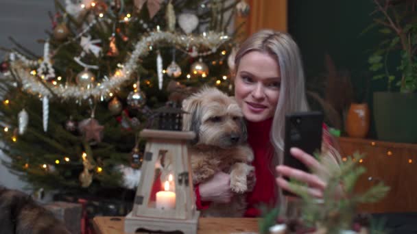 Woman Her Dog Record Christmas Blog Her Fans Video Chat — Vídeo de stock