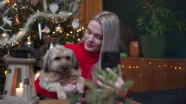 Bir kadın ve bir köpek yılbaşı videosu kaydediyor. Noel evi dekorasyonu.