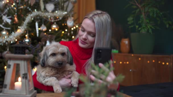 Uma Mulher Cão Gravam Vídeo Blog Natal Decoração Casa Natal — Vídeo de Stock