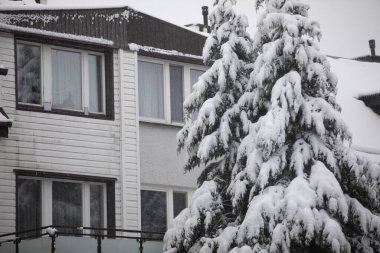 Kozalaklı ağaçların taçları ön planda görülebilir. Ağaçların dalları taze karla kaplıdır. Ağaçların arkasında tek bir aile evi görülebilir. Perdeler pencerede asılı