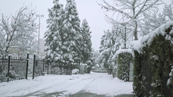 一戸建ての住宅街で雪に覆われた木や低木 冬と雪がたくさん降っている 雪は通り 茂みや木にあります 寒い季節 境内の眺め — ストック動画
