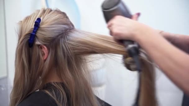 プロフィールに見られるブロンドの女性の頭 美容師は美容院の顧客の髪を乾燥させます ヘアドレッサーは丸いブラシに髪の鎖を巻き ブロードライヤーでそれを乾燥させます プロの髪 — ストック動画