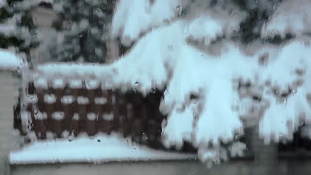 ガラス越しの風景 ぼやけた景色 ガラス滴下水のストリームで覆われている 雪に覆われた針葉樹の木の枝 ガラス越しに見える木々や柵 — ストック動画