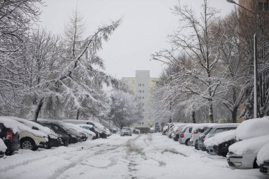 Park alanında çok sayıda park edilmiş araba duruyor. Arabalar taze kar tabakasıyla kaplı. Sokağa, kaldırımlara ve ağaçlara kar yağdı. Karla kaplı ağaç tepeleri.