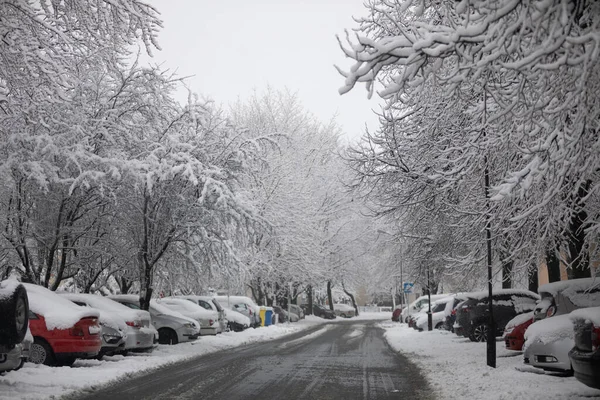 View Snow Covered Street Both Sides Street Parked Passenger Cars — Stock Photo, Image