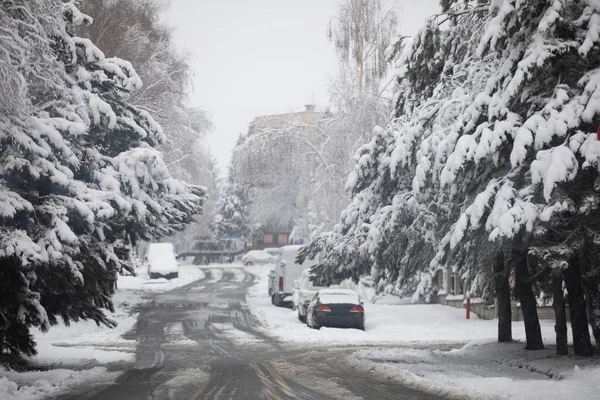 Tall Trees Both Sides Estate Street Winter Heavy Snowfall Snow — Stock Photo, Image