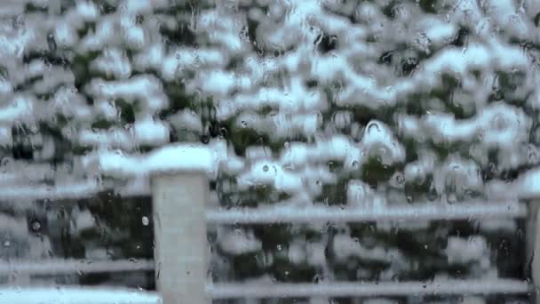 Ośnieżone Drzewa Krzewy Osiedlu Jego Zima Dużo Śniegu Spadło Widok — Wideo stockowe