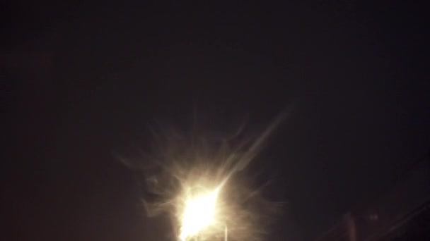 Jeździ Nocą Mieście Pojazd Mija Oświetlone Latarnie Widok Ulicę Perspektywy — Wideo stockowe