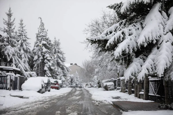 Snow Has Covered Trees Cars Street Sidewalks Residential Block Can — Stock Photo, Image