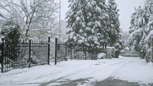 Schnee Liegt Auf Der Straße Dem Bürgersteig Büschen Und Bäumen — Stockvideo