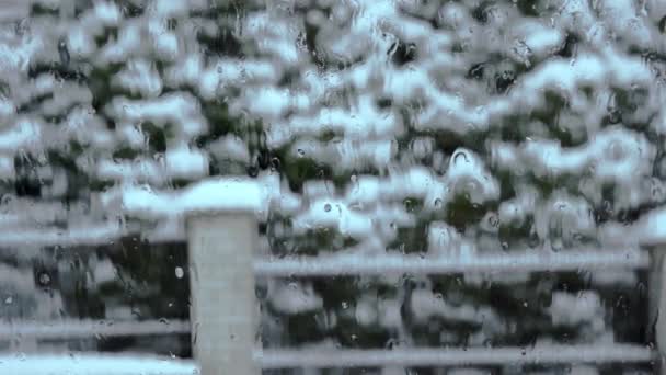 水滴落在玻璃杯上 庄园里覆盖着白雪的树木和灌木 现在是冬天 下了很多雪 一个雪景的冬季景观 透过玻璃看模糊的视野 — 图库视频影像