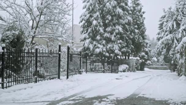 Seu Inverno Muita Neve Caíram Neve Está Rua Calçada Arbustos — Vídeo de Stock