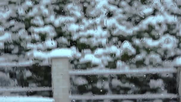 Sklem Rozmazal Výhled Kapky Vody Usazují Skle Sněhem Pokryté Stromy — Stock video