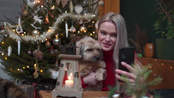 一个女人和她的狗为她的粉丝录制了一个圣诞博客 圣诞期间通过智能手机进行视频聊天 — 图库视频影像