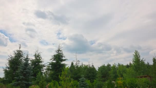 Облака Движутся Над Зелеными Деревьями Покрывающими Голубое Небо Изменяя Погоду — стоковое видео