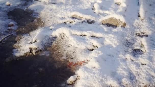 Close Ground Thick Layer Snow Snow Black Frozen Ground Shines — Video Stock