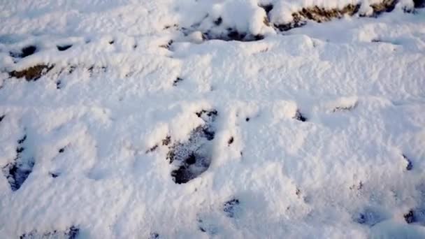 Close Ground Thick Layer Snow Snow Black Frozen Ground Shines — Stockvideo